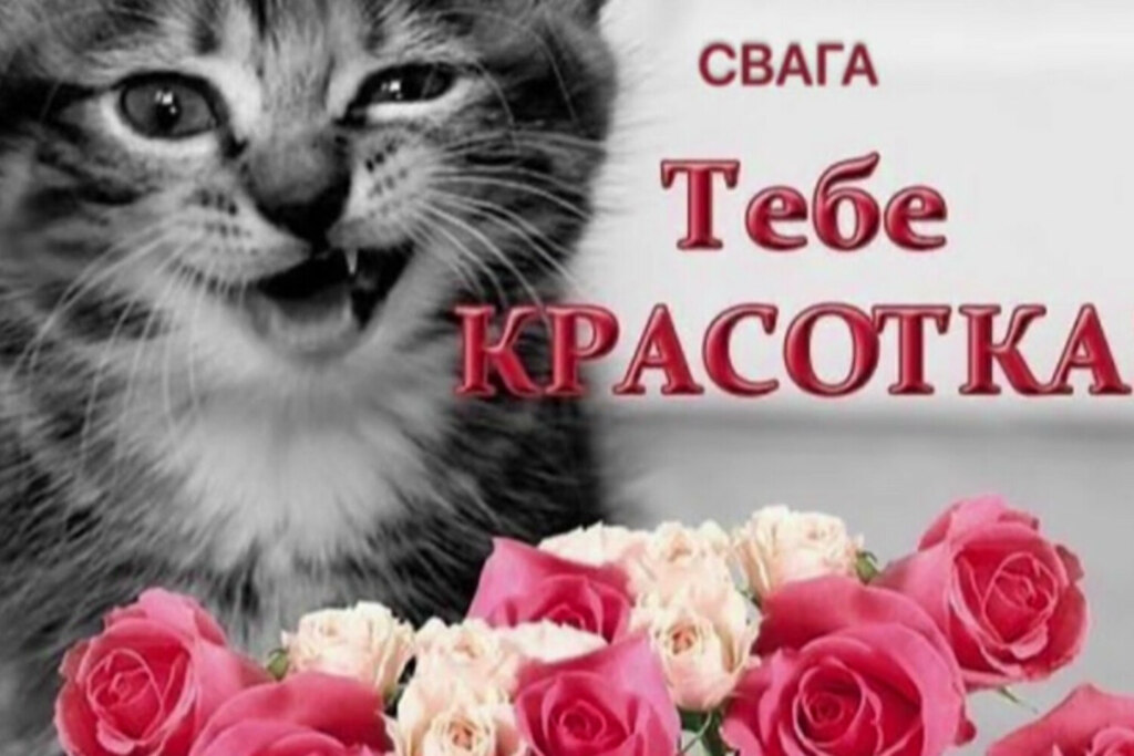 Свага