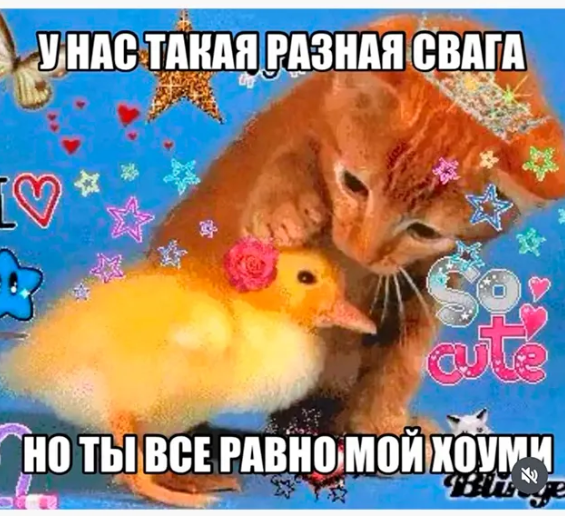 Свага