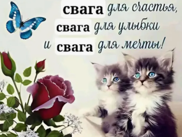 Свага