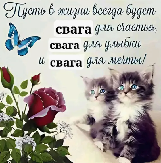 Свага