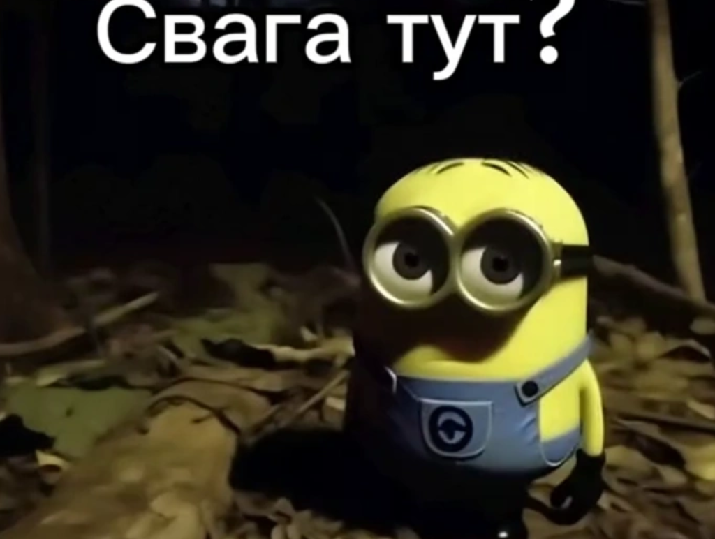 Свага