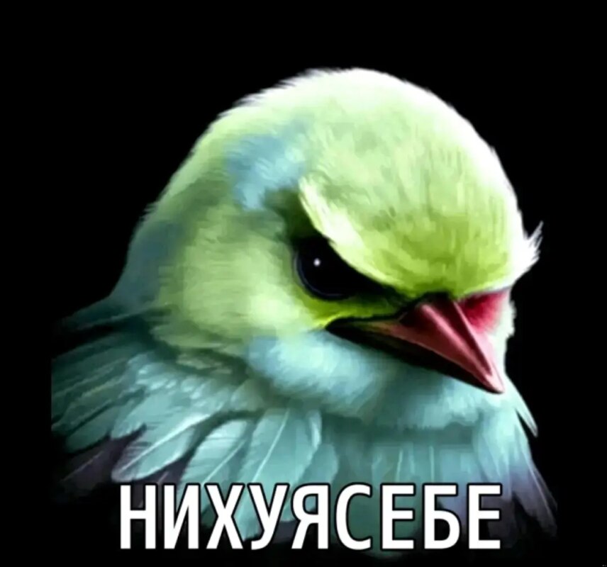 Нихуясебе