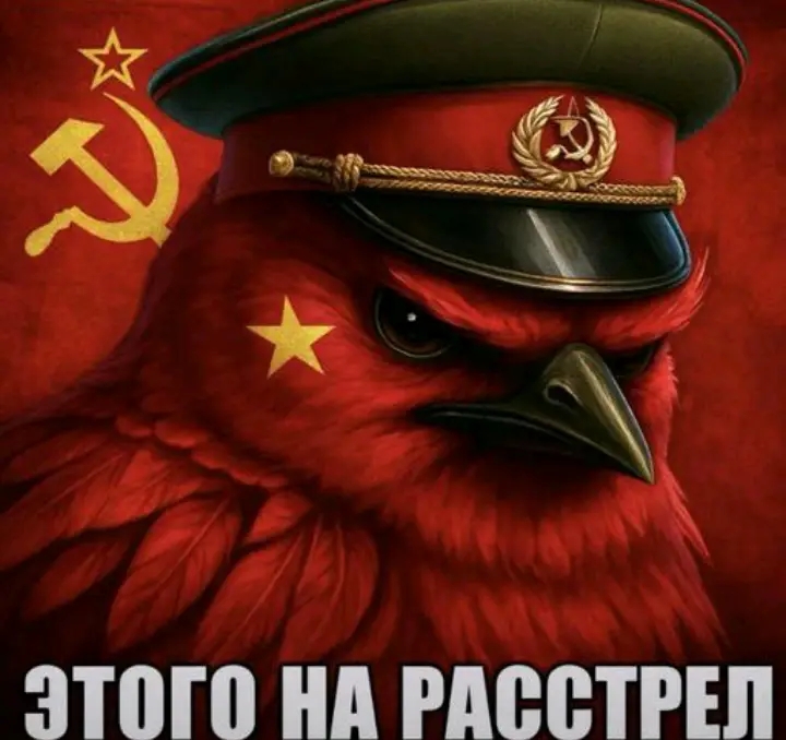 Этого на расстрел