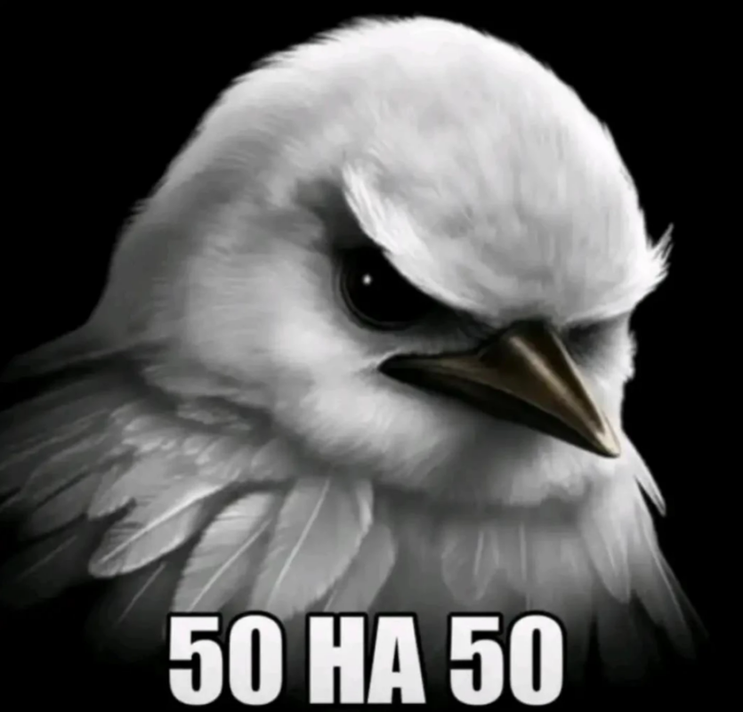 50 на 50