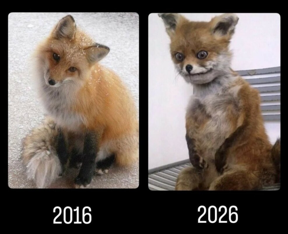 2016 vs 2026