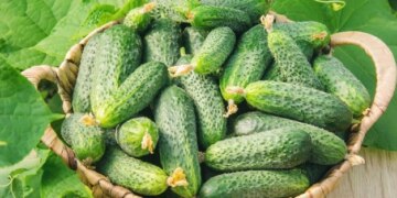 ΠΠ³ΡΡΡΡ ΠΏΠΎΠ΄ΠΎΡΠΎΠΆΠ°Π»ΠΈ