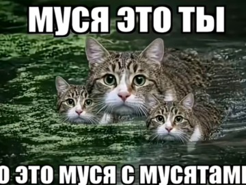 Муся это ты