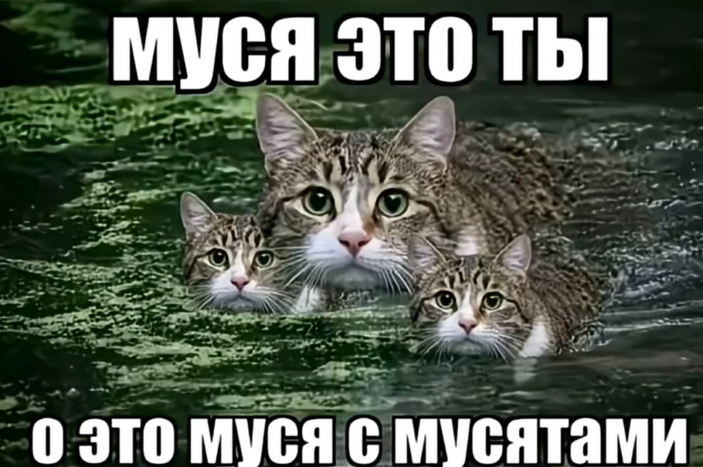 Муся это ты