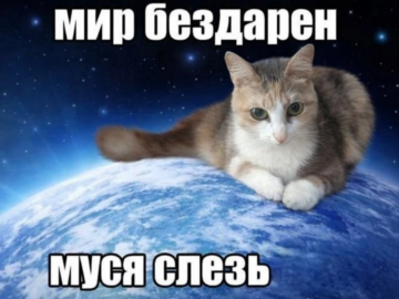 Муся это ты