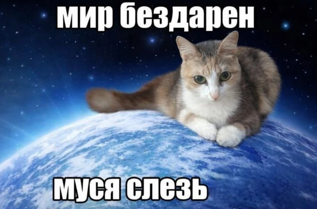 Муся это ты