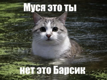 Муся это ты