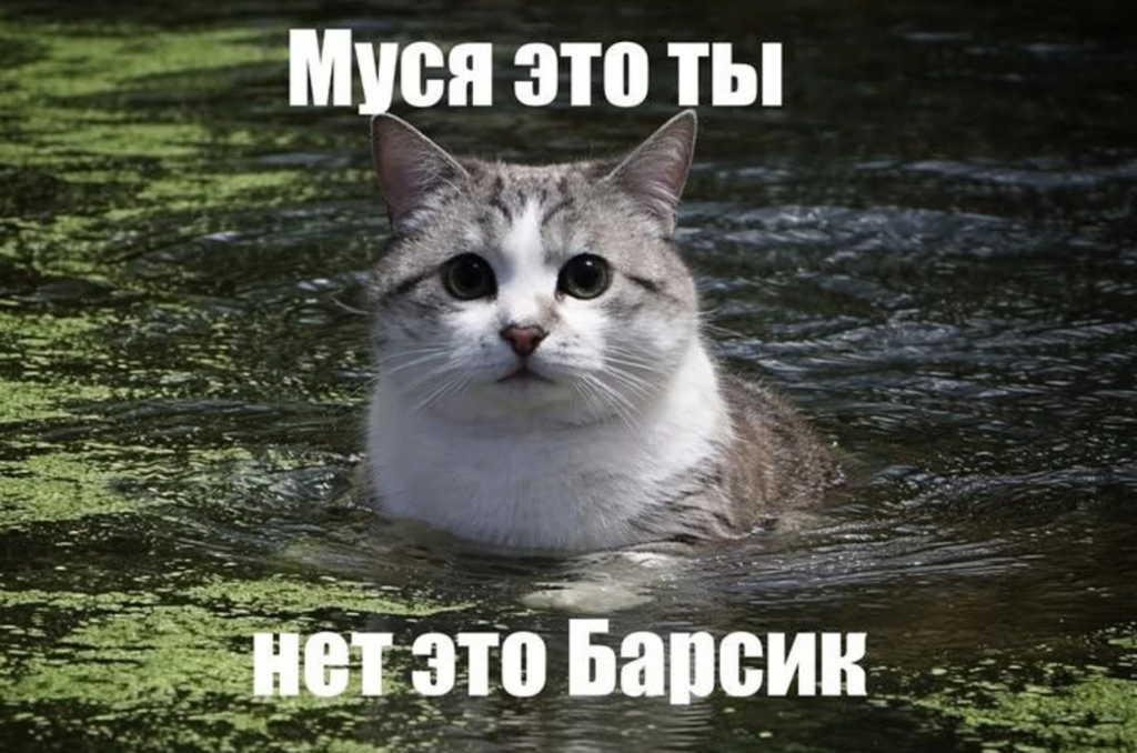 Муся это ты