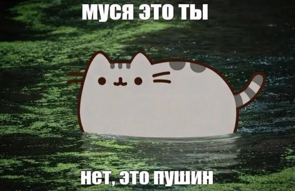Муся это ты