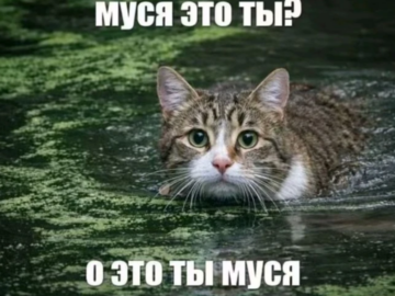 Муся это ты