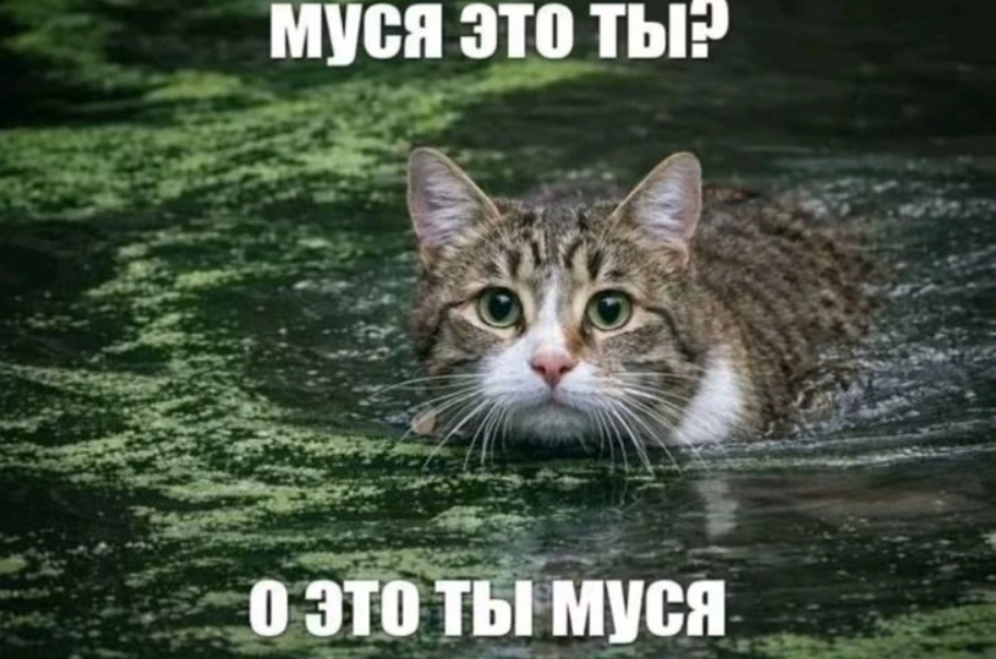 Муся это ты
