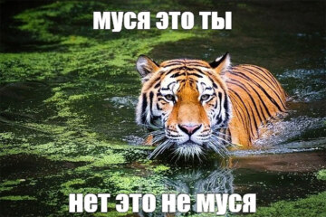 муся это ты