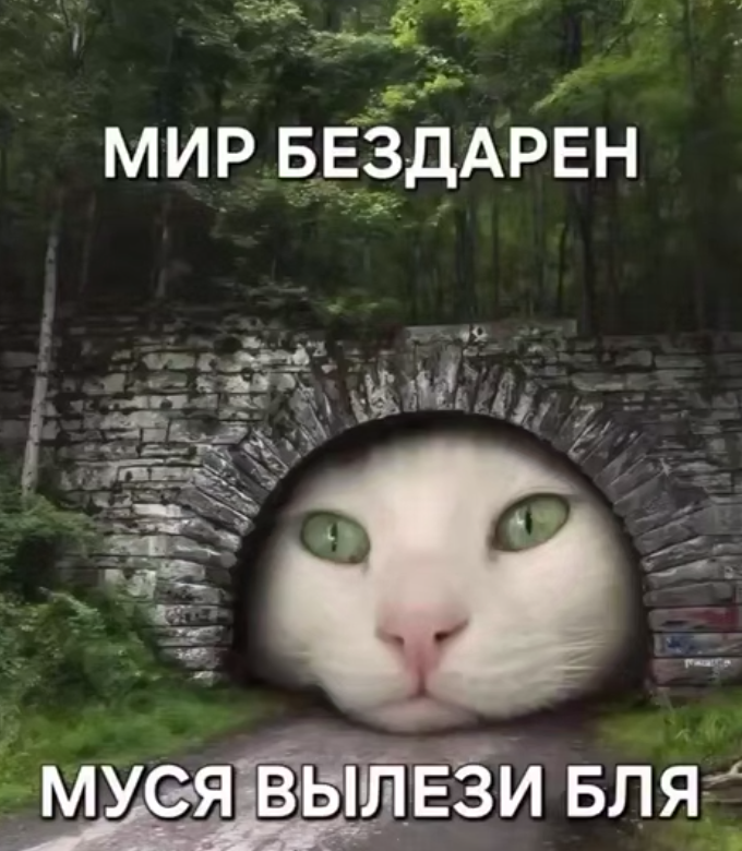 Муся это ты