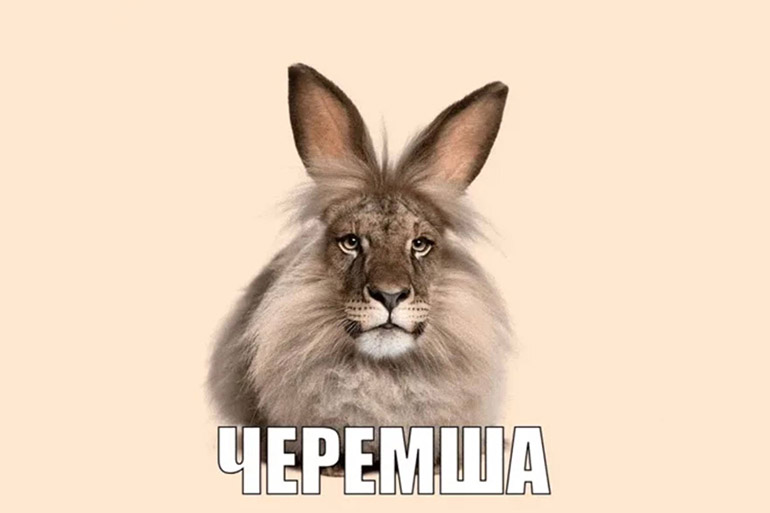 мемы апреля 2026 мемы апреля 2026
