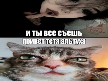 Кошка с выпученными глазами