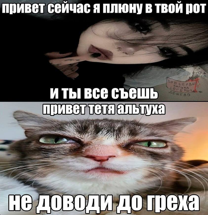 Кошка с выпученными глазами