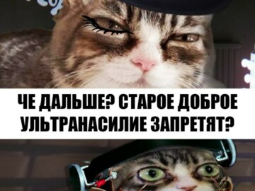 Кошка с выпученными глазами