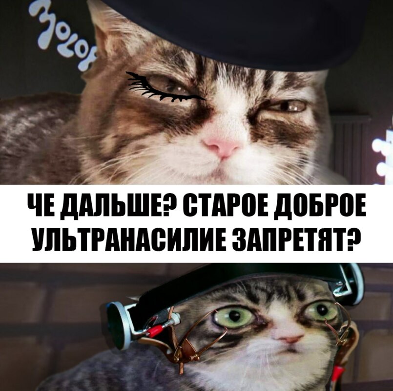 Кошка с выпученными глазами