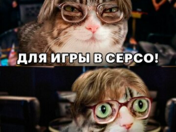 Кошка с выпученными глазами