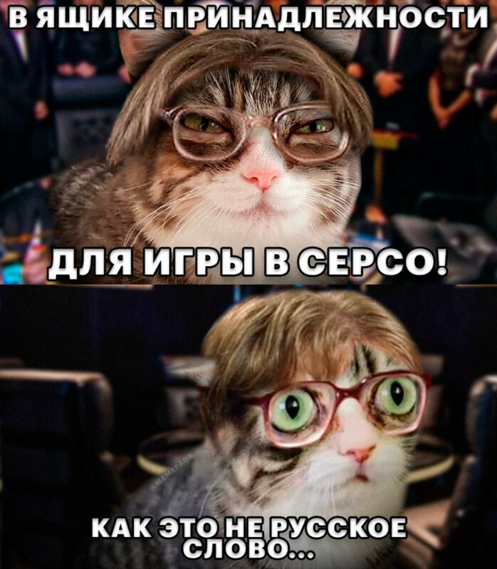 Кошка с выпученными глазами