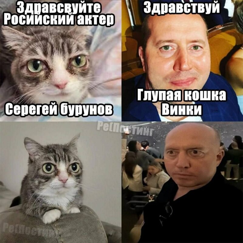 мемы июня 2026
