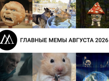 мемы августа 2026
