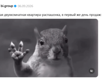 Белка в торнадо
