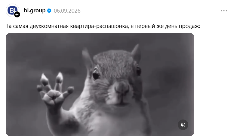 Белка в торнадо