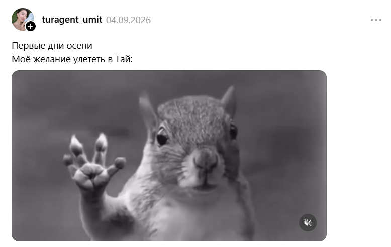 Белка в торнадо