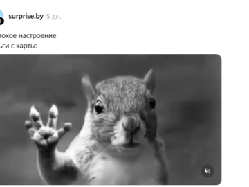 Белка в торнадо