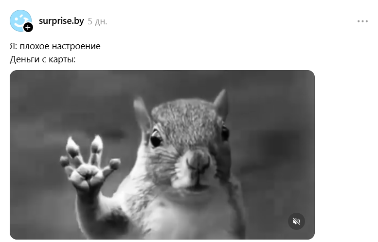 Белка в торнадо