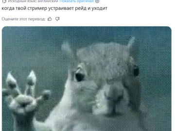 Белка в торнадо