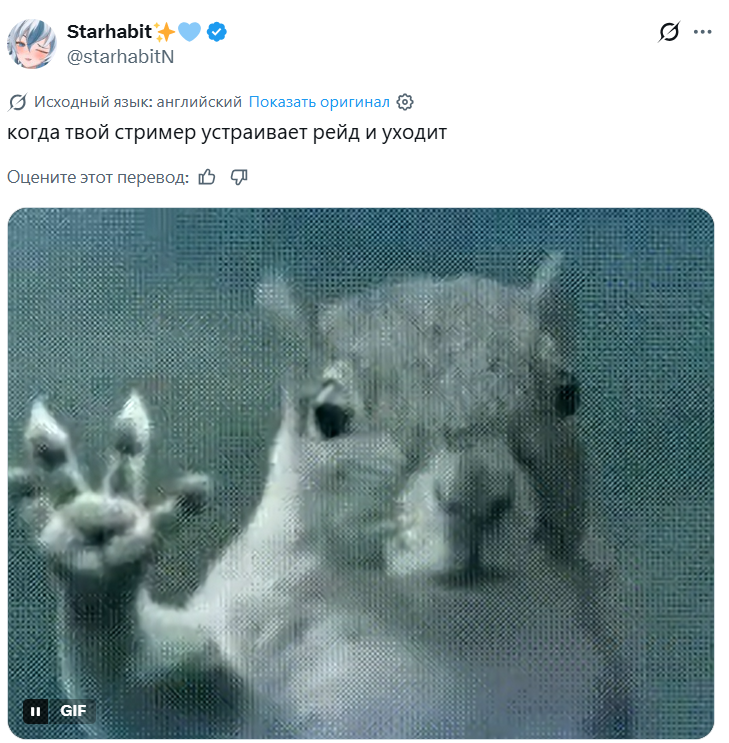 Белка в торнадо