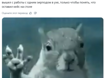 Белка в торнадо