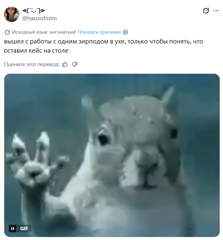 Белка в торнадо