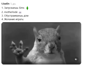 Белка в торнадо