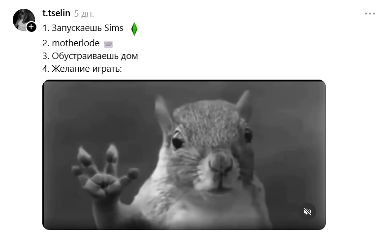 Белка в торнадо