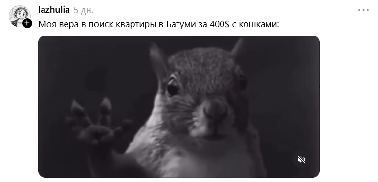 Белка в торнадо