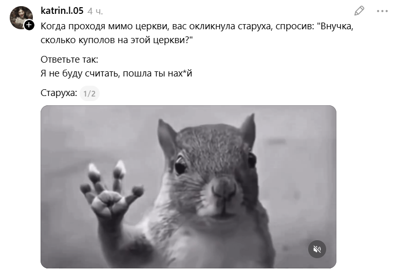 Белка в торнадо