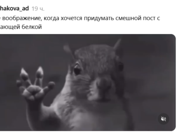 Белка в торнадо