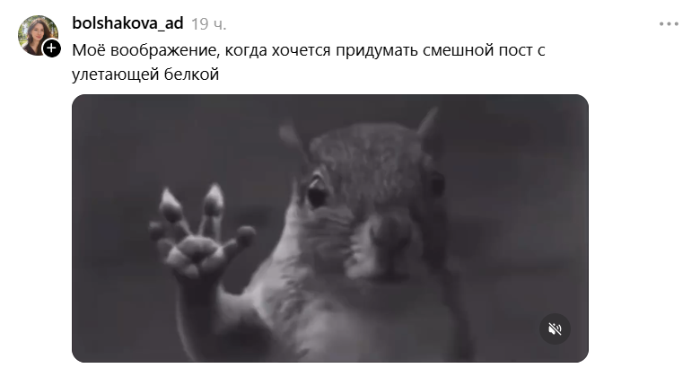 Белка в торнадо