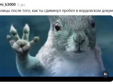 Белка в торнадо