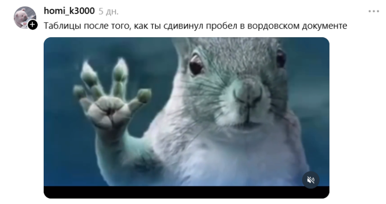 Белка в торнадо