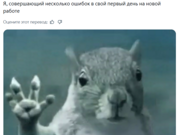 Белка в торнадо