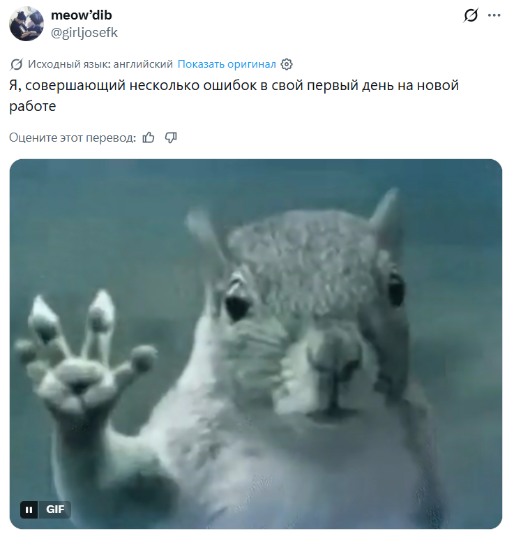 Белка в торнадо