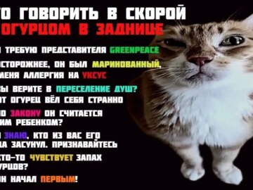 Что сказать при встрече